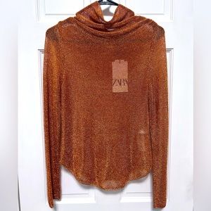 🔥NWT🔥 ZARA Sexy Metallic Mesh Turtleneck Sweater W KeyHole and Back Buttons🔥